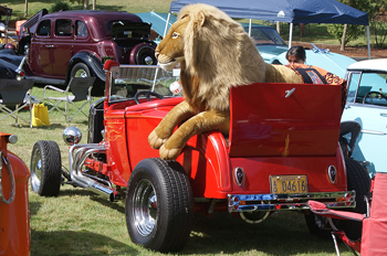 Lion in roadster